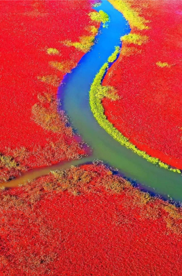 黃河入海流——山影鏡頭里的時(shí)代變遷故事