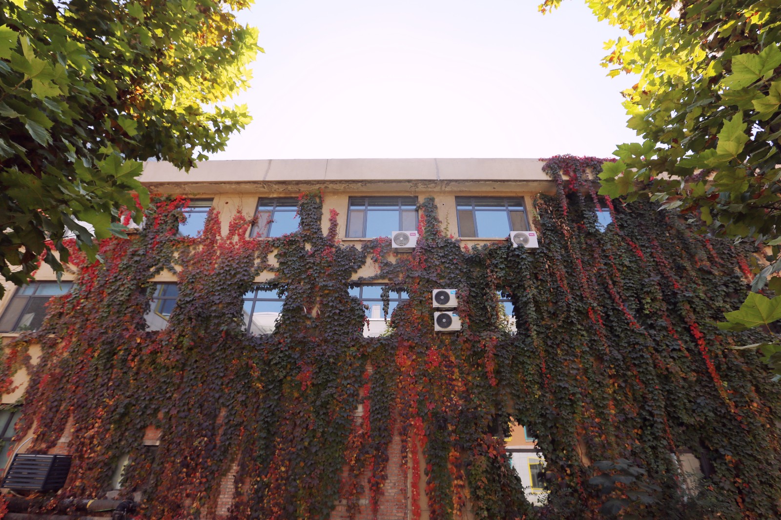 山影星工坊的秋色，與心中的美好不期而遇