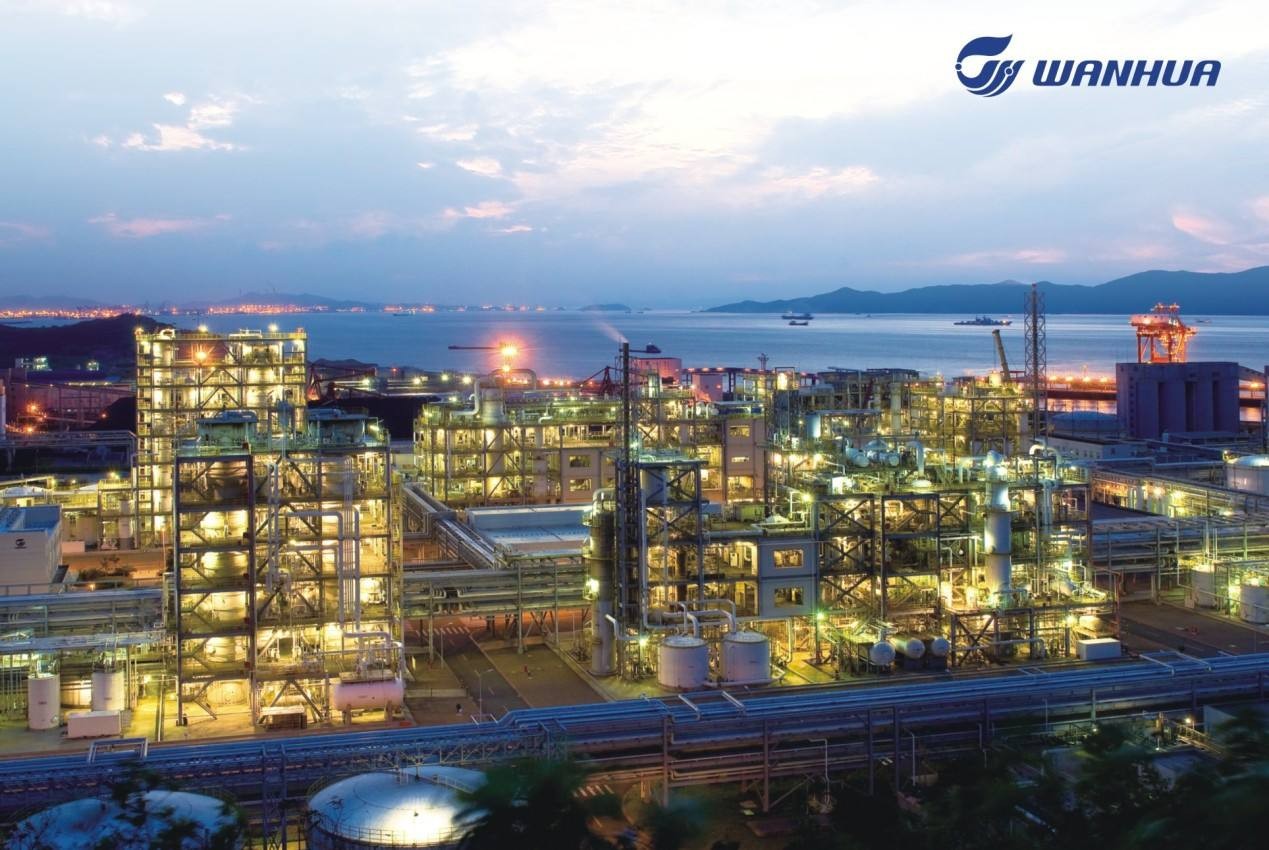 深化改革創(chuàng)新 實(shí)現(xiàn)高質(zhì)量發(fā)展         ——萬(wàn)華化學(xué)集團(tuán)典型經(jīng)驗(yàn)材料（上）